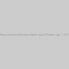 Image of Recombinant Borrelia Afzelii rpsG Protein (aa 1-157)